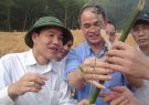 Huyện Thường Xuân tổ chức Lễ phát động trồng cây Xuân Tân Mão 2011